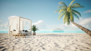 Lounge bed on the beach. Canopy bed with palm tree