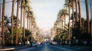 Palm trees alley in California - Hollywood Beachwood Street Animation