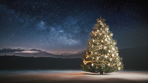 Christmas Tree Against the Night Sky