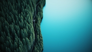 Aerial view of car driving through the forest and the lake. Fir forest by the lake