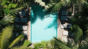 Luxurious swimming pool with palm trees, top view