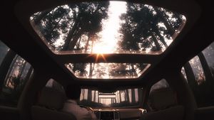 Driving Through Pine Forest Panoramic Roof View