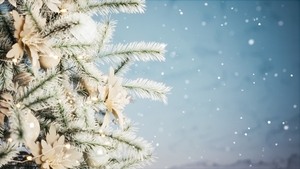 Christmas Tree And Falling Snow