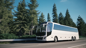 Tourist bus drive along the forest