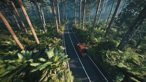 Car driving along the forest