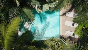 Top view of pool with bright blue water and palm trees