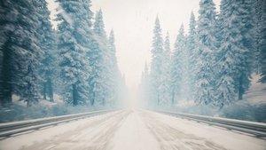 Driving during a snowfall in the forest. Winter forest during snowfall