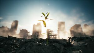 The end of the war. Peace after the war