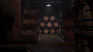 Wine Barrel Storage in Vault Footage