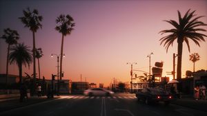 Palms silhouette on twilight sky, California. Santa Monica Pier