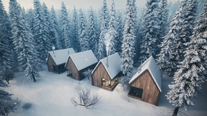 Cottage hotel in the winter forest. Hotel of two story houses