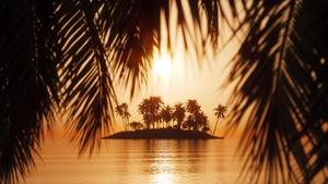 Silhouette of palm leaves on tropical island background