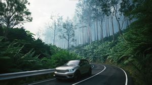 Car driving along a curved road in the forest