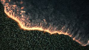 Aerial view of burning forest. Climate change and ecology