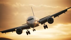 Passenger plane extends landing gear for landing