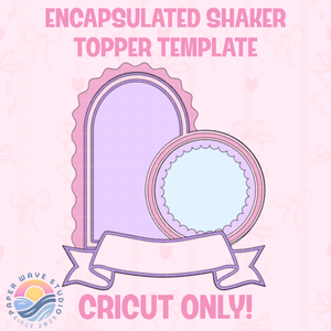 Encapsulated Shaker Cake Topper Layered