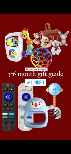 3-6 Month Gift Guide