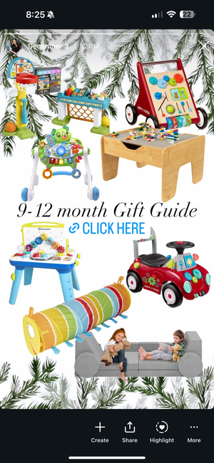 9-12 Month Gift Guide 