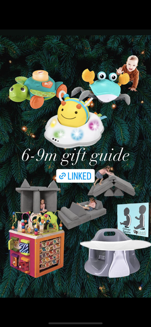 6-9 Month Gift Guide