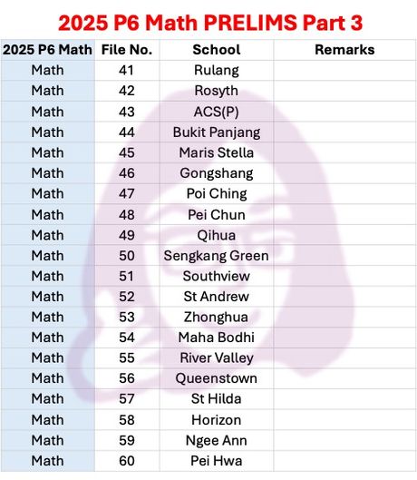 2025 P6 Math - PRELIMS Set 3
