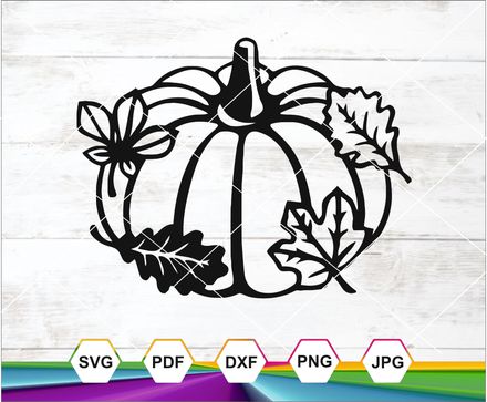 Pumpkin Svg, Gourd Svg, Autumn Pumpkin Svg, Jack O Lantern svg, Pumpkin Vine Svg,  Cricut files