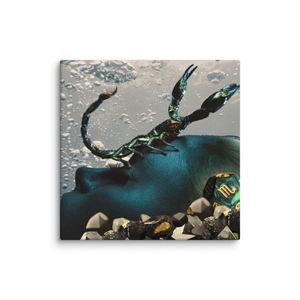 Zodiac Collection - Scorpio Canvas 