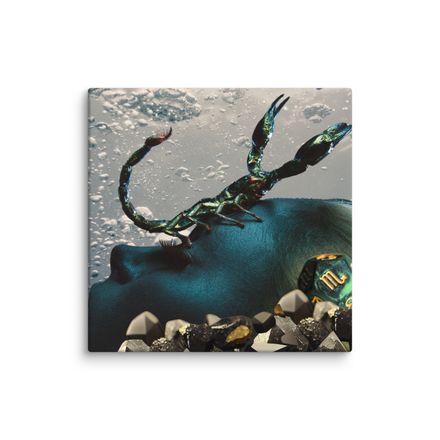 Zodiac Collection - Scorpio Canvas 