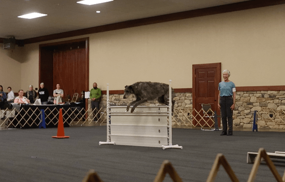 Obedience - Part I (May 6, 2026)