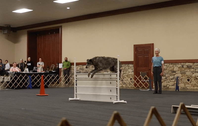 Obedience - Part I (May 6, 2026)
