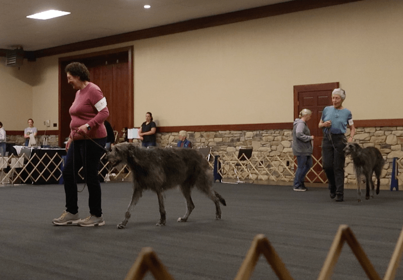 Obedience - Part II (May 6, 2026)