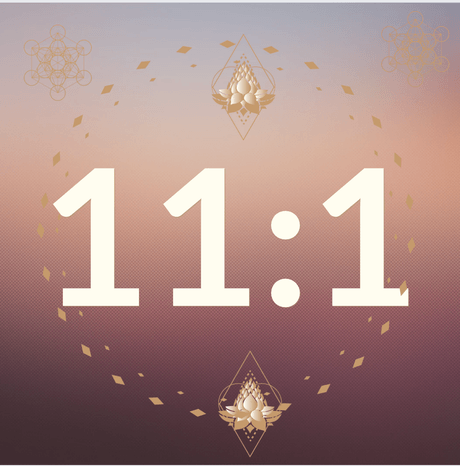 11.1 transmission