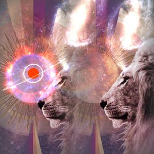 8.8 lions gate transmission