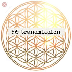 5.5 TRANSMISSION