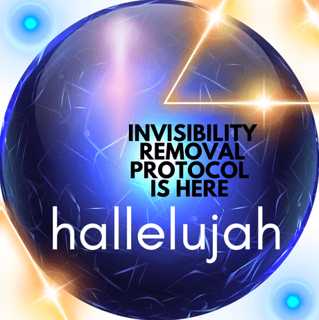 🌟 THE INVISIBILITY PROTOCOL 🌟