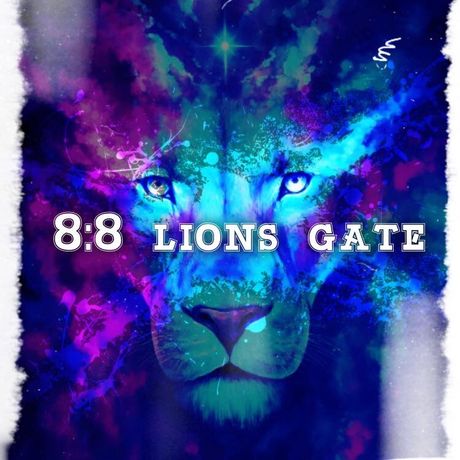 8.8 lions gate transmission
