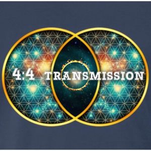 4.4 transmission