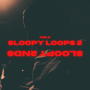 SLOOPY 2NDS DRUM LOOP KIT 