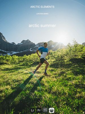 arctic summer