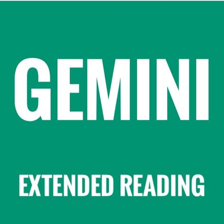 Gemini: &quot;You will see the bigger picture in regards to a deception&quot; September 2024 Extended