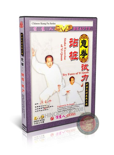 YiQuan Stake Exercise and Try Force DVD by Master Bo Jiacong Martial Arts Guide | DW027