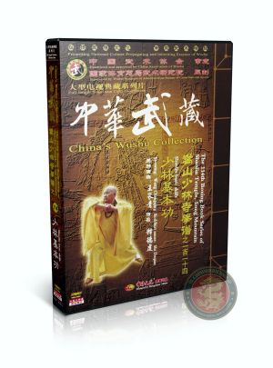 Shaolin Kung Fu Basic Skills Fundamentals by Master Shi DeQian 2DVD Set Guide