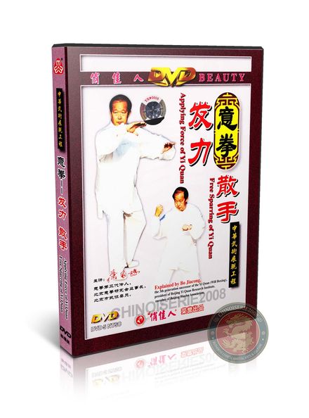 YiQuan Applying Force and Free Sparring DVD by Master Bo Jiacong Training Guide | DW028