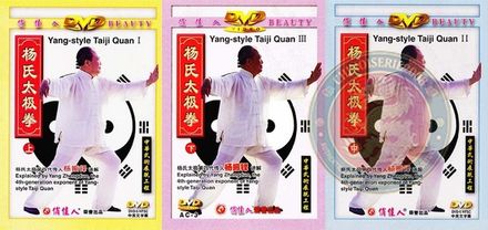 Yang Style Tai Chi 103 Forms Traditional Wushu Training DVD Chinese Kung Fu | DW012-01-03