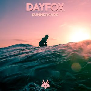 DayFox - Summercade (Full Product)