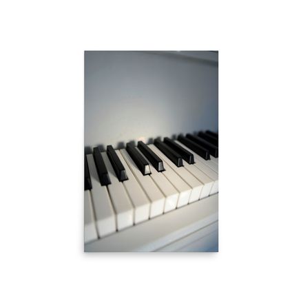 Monochrome Melody: Ivories in Focus
