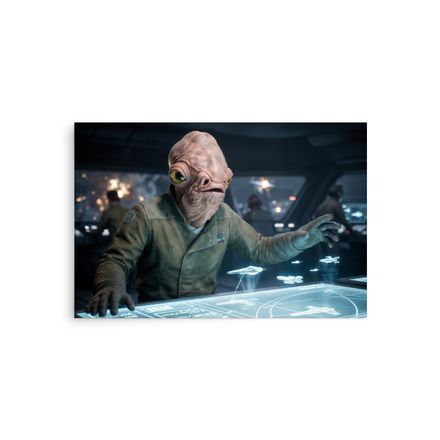 Commander of the Fleet: Admiral Ackbar