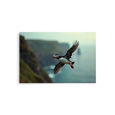 Puffin in Flight: Cliffs of the North