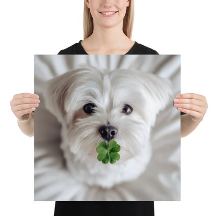 Lucky Charm Pup: Adorable Maltese with Clover