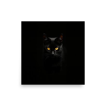 Golden Gaze: The Shadow Cat