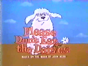 Please Don&#x27;t Eat the Daisies Complete Series DVD